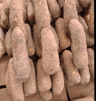 10 fresh yam tubers for sale in Nigeria | 3pleMarket